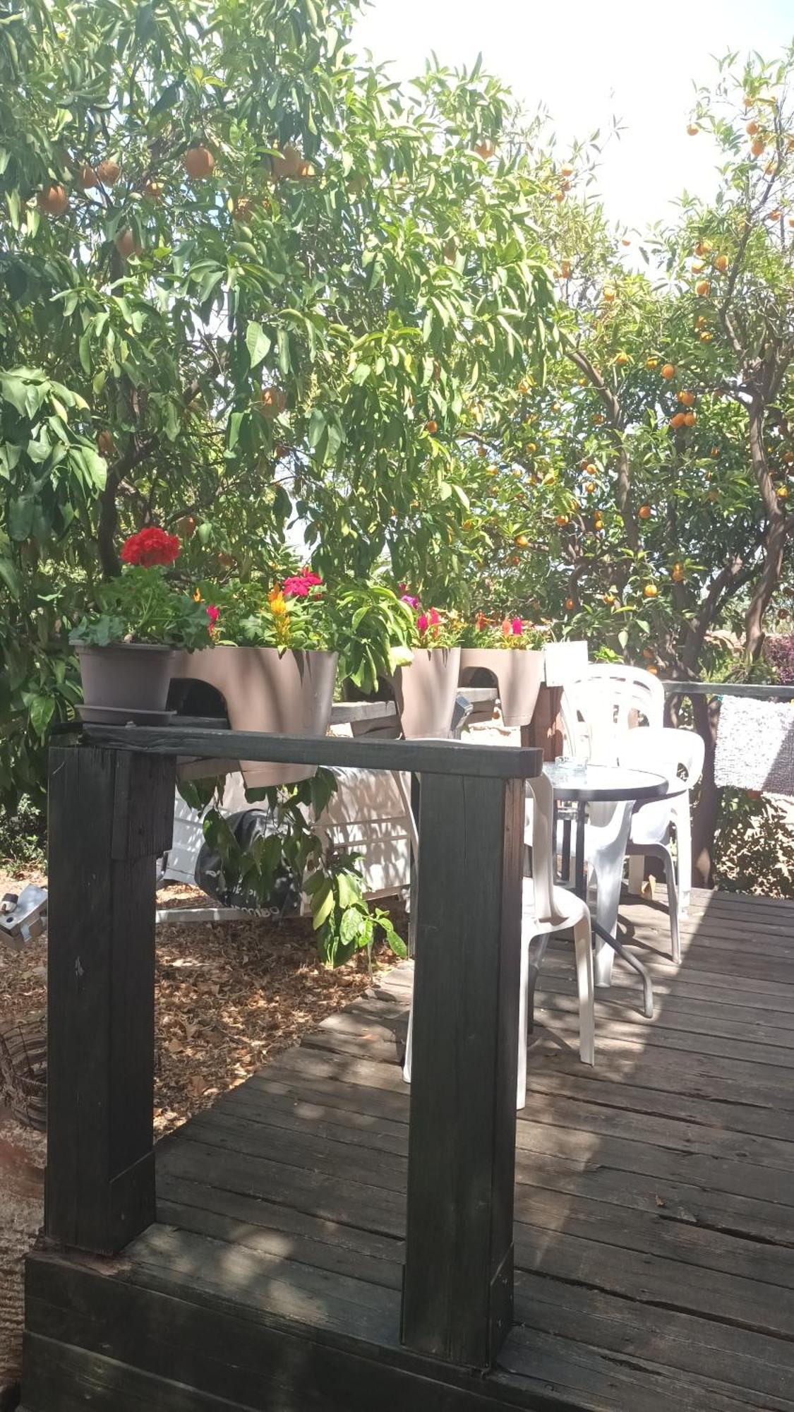 A Fun Holiday In The Galilee Sede Eli'ezer Экстерьер фото